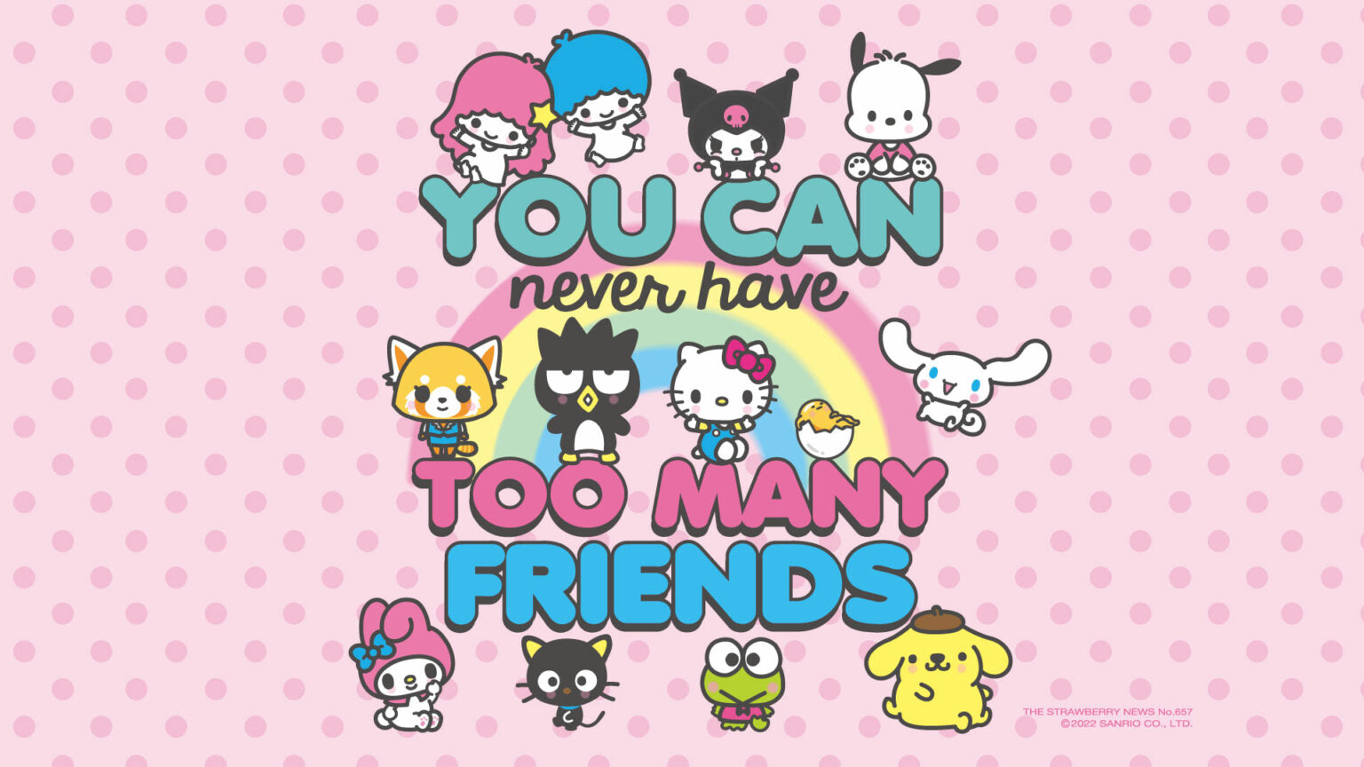 Sanrio Inspired